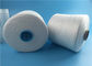 40s / 2 Spun Polyester Benang Virgin Raw White pada Dyeing Tube / Paper Cone pemasok